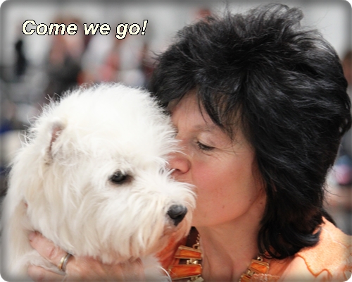 ! REICO Hundefutter ! REICO Hundefutter
