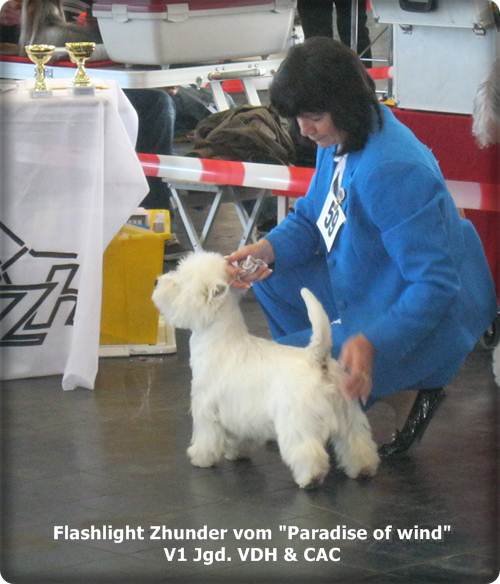 Blitz im Ring Blitz im Ring