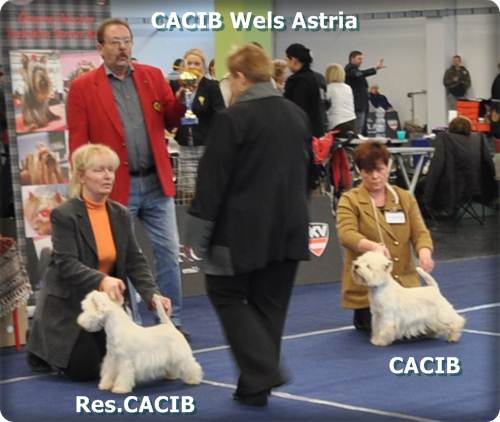 Nathan Res.CACIB Nathan Res.CACIB