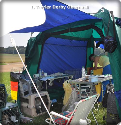 Preiswertes Reicu Futter hier die Preisliste Preiswertes Reicu Futter hier die Preisliste