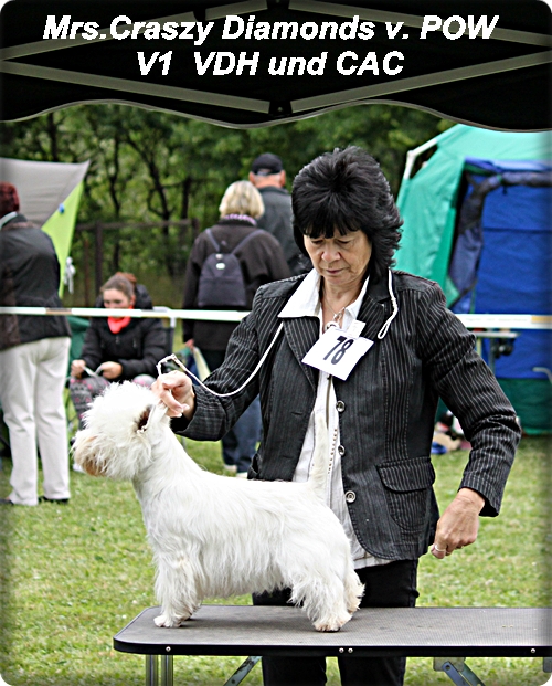 Reiko Fital Hundefutter vom Feinsten Reiko Fital Hundefutter vom Feinsten