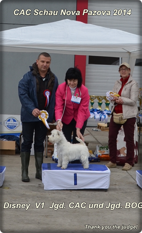 Reiko-Vital billiges bestes Hundefutter SRB Reiko-Vital billiges bestes Hundefutter SRB