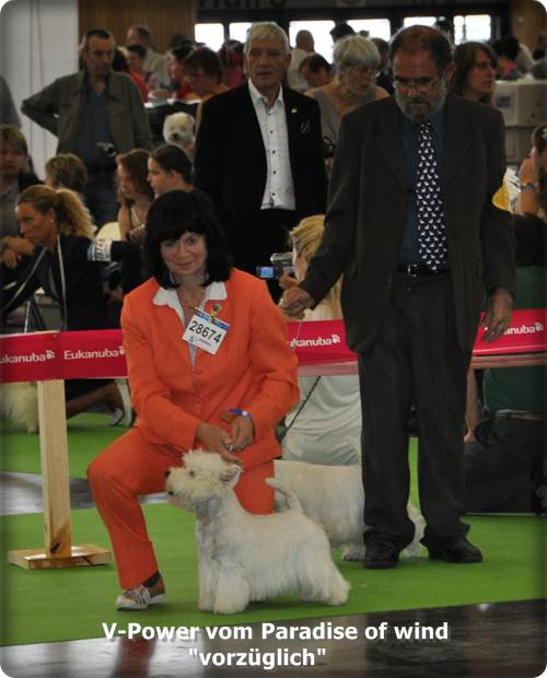 V-Power World Dog Show Paris 2011 V-Power World Dog Show Paris 2011