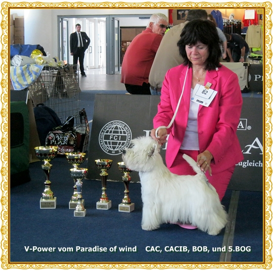 V-Power gewinnt BOB V-Power gewinnt BOB