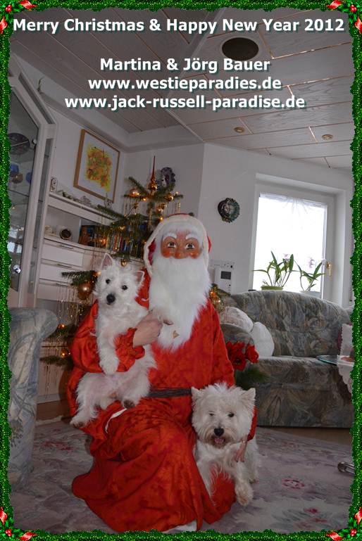 Weihnachtswünsche Weihnachtswünsche