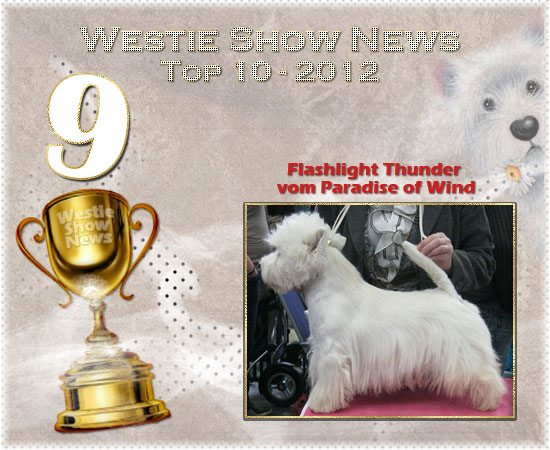 Westieshownews