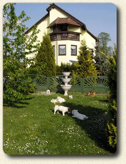 Zwinger Paradise of Wind Zwinger Paradise of Wind